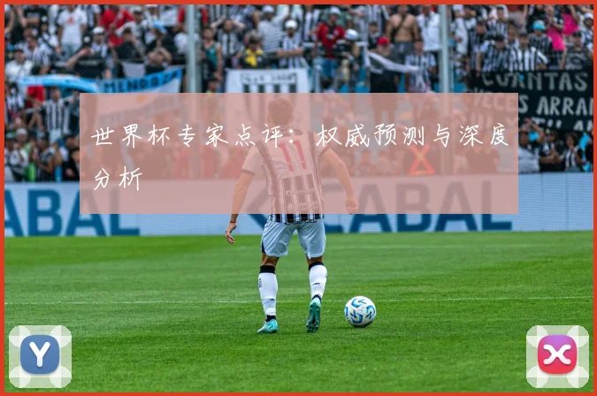 世界杯专家点评：权威预测与深度分析