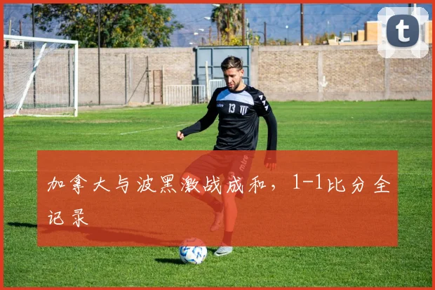 加拿大与波黑激战成和,1-1比分全记录