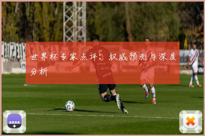世界杯专家点评：权威预测与深度分析