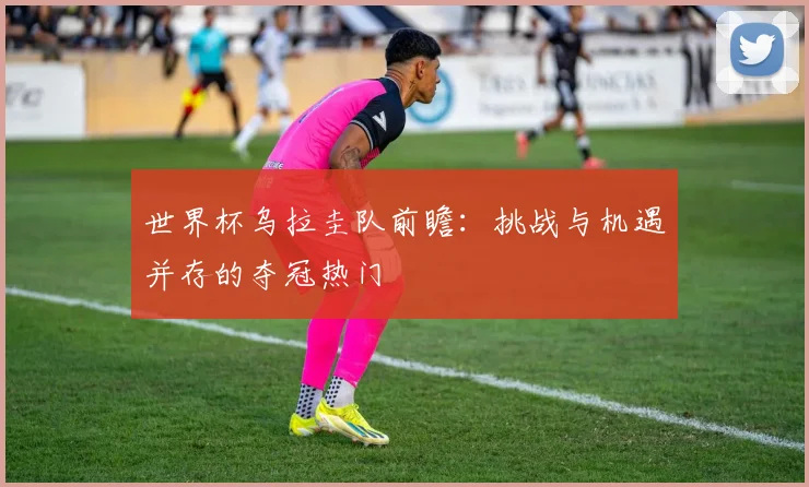 世界杯乌拉圭队前瞻：挑战与机遇并存的夺冠热门