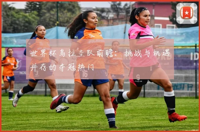 世界杯乌拉圭队前瞻：挑战与机遇并存的夺冠热门