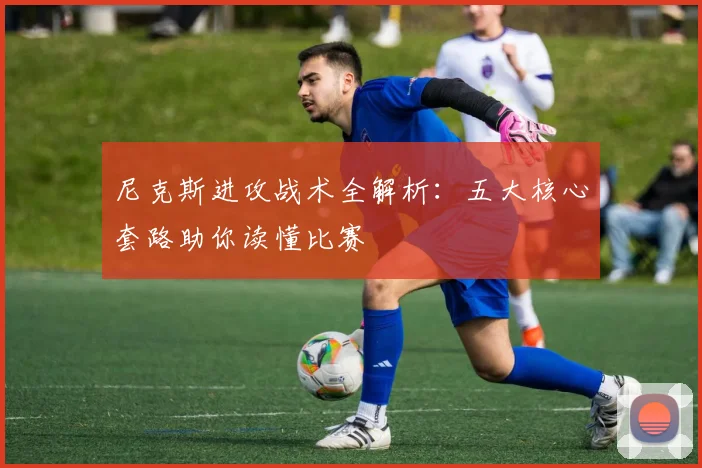 尼克斯进攻战术全解析:五大核心套路助你读懂比赛